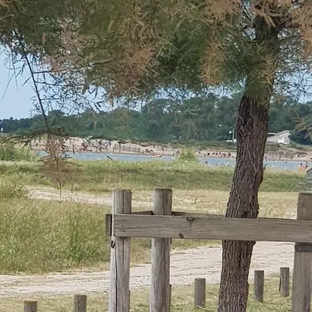 Huitres Et Marennes (Charente-Maritime)